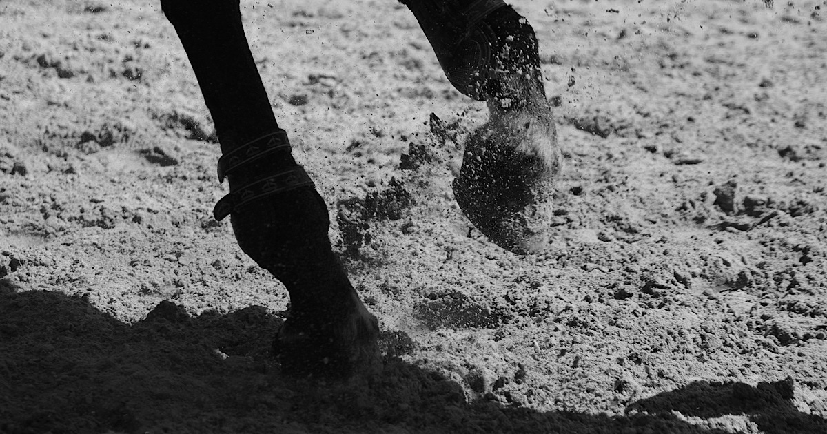 砂を巻き上げて走る馬の足元の様子
