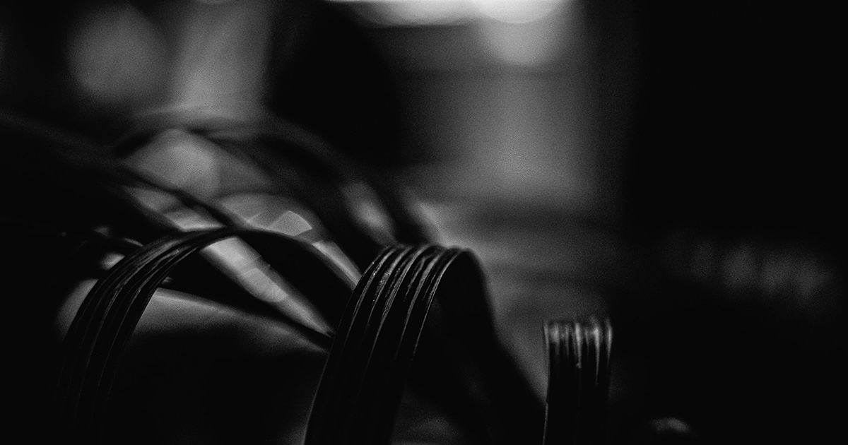 暗い室内に置かれた観葉植物